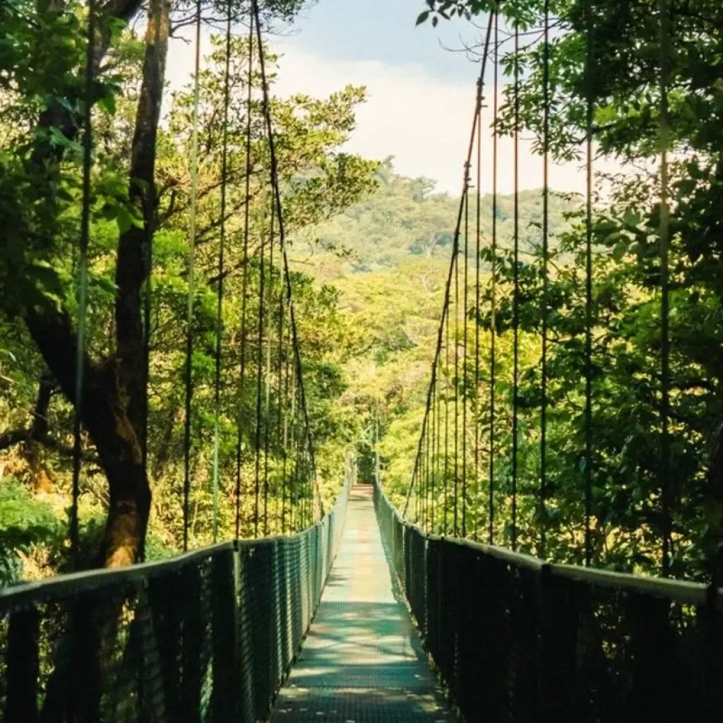 Explore Costa Rica Adventure for 10 days with TruTravels and discover unforgettable experiences - Photo 2