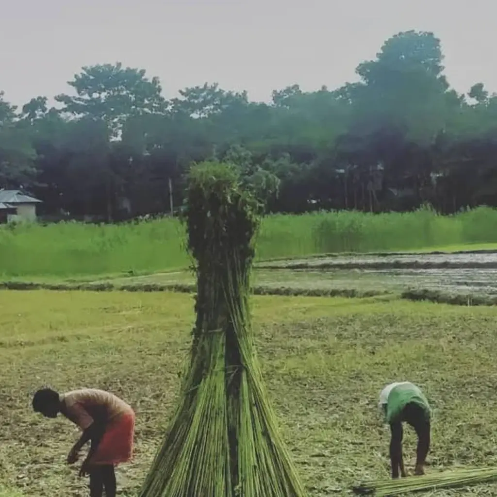 Explore Mystical Sunderban Exploration for 3 days with Agora Voyages OPC Pvt Ltd and discover unforgettable experiences - Photo 2