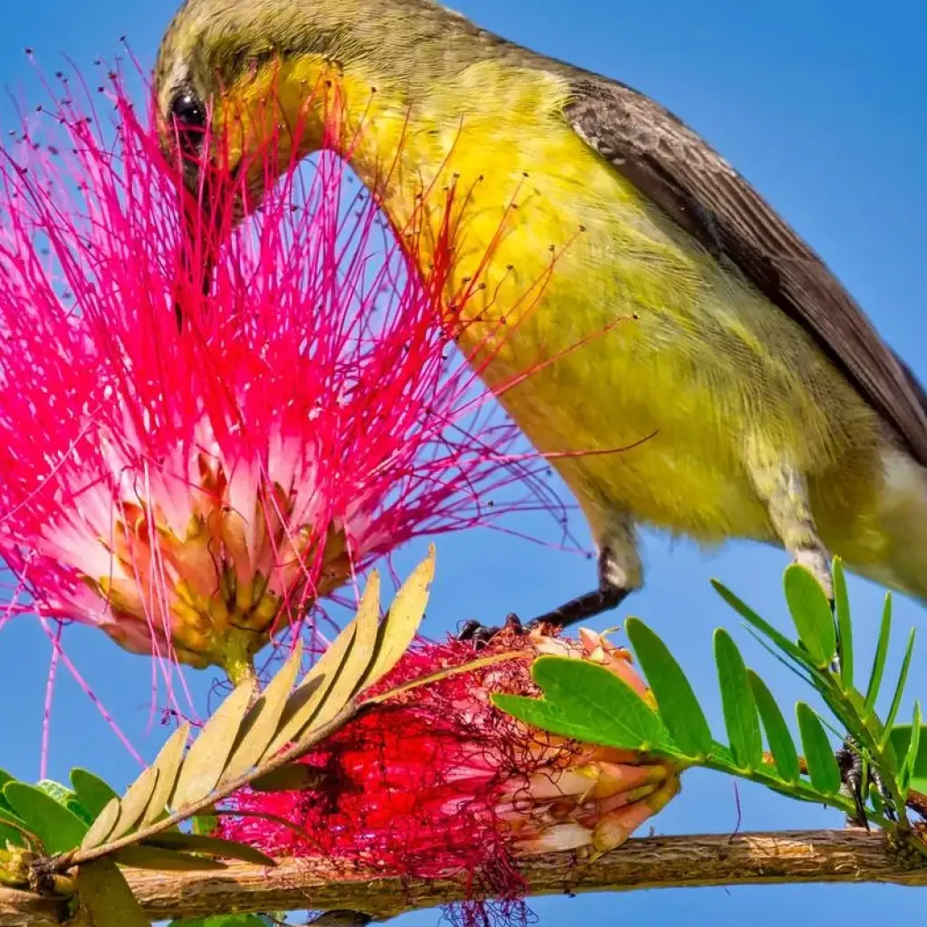 Explore 4-Day Bardia National Park Tour for 4 days with Alpine Luxury Treks Pvt Ltd and discover unforgettable experiences - Photo 2