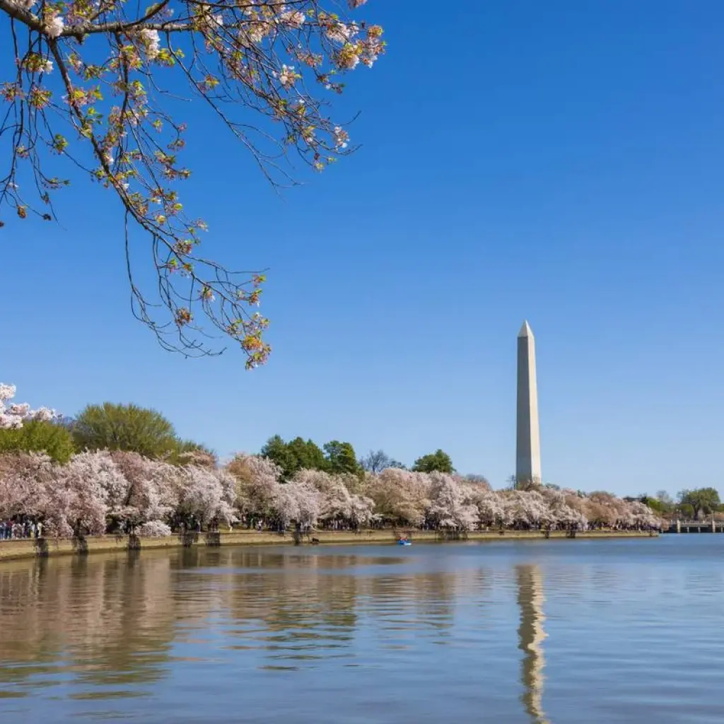 Explore American Gateway – 4 Days for 4 days with Amadeo and discover unforgettable experiences - Photo 2