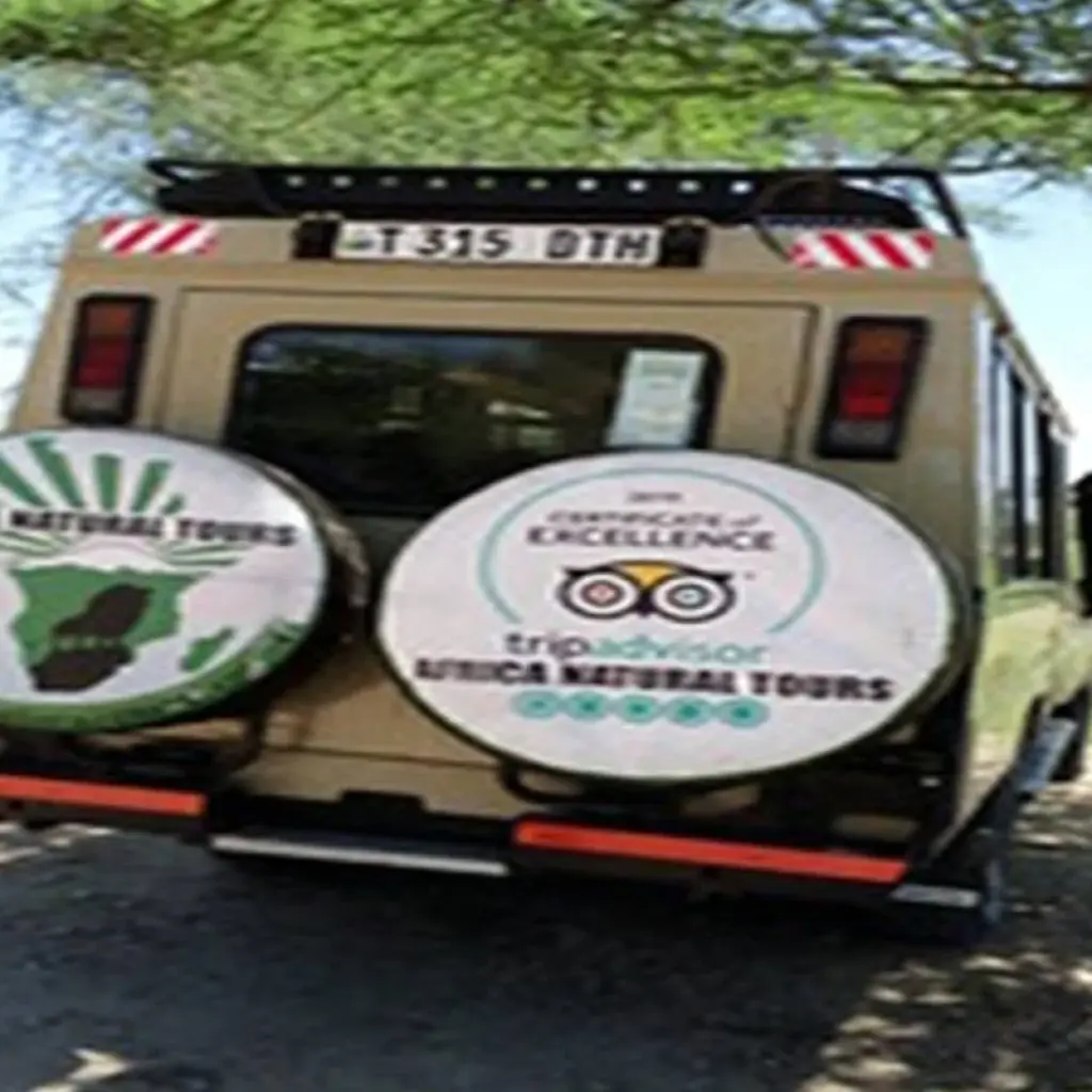 Explore Discover Our Top Best 4-day Tanzania joining group safari: The world's Famous Tanzania Group Safari for 4 days with Africa Natural Tours and discover unforgettable experiences - Photo 2