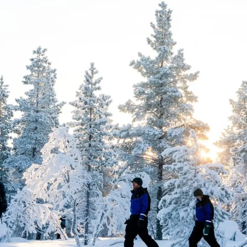 Explore Romantic Aurora package for 5 days with Inventia and discover unforgettable experiences - Photo 2