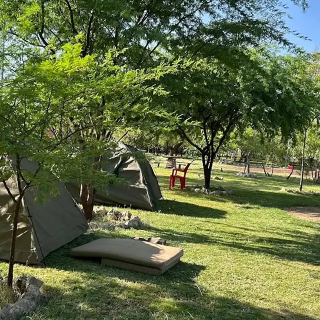 Explore The Top Best 14 Days Africa Safari in Kenya & Tanzania 2025–2026: All-Inclusive  African Safari Package of Wildlife, Culture & Adventure for 14 days with Africa Natural Tours and discover unforgettable experiences - Photo 2