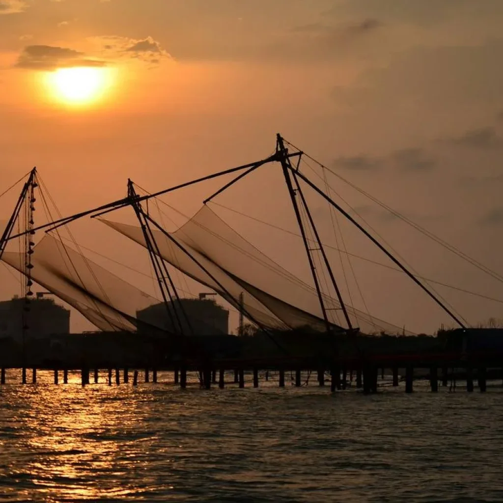 Explore India Taj and Tiger Tour with Kerala for 15 days with Ramble Advisor and discover unforgettable experiences - Photo 2