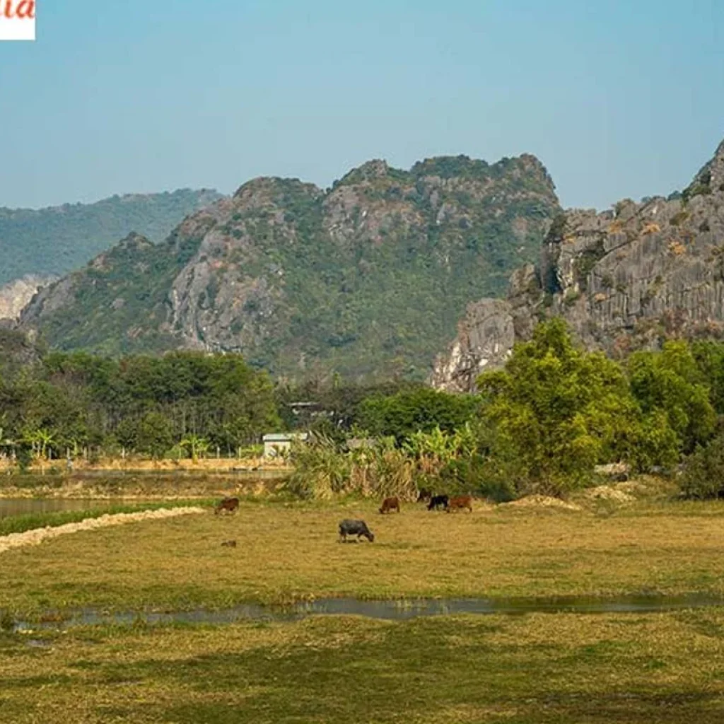 Explore 2 Night 3 Days Kabini Tour From Bangalore for 3 days with Real viaggi india  and discover unforgettable experiences - Photo 2