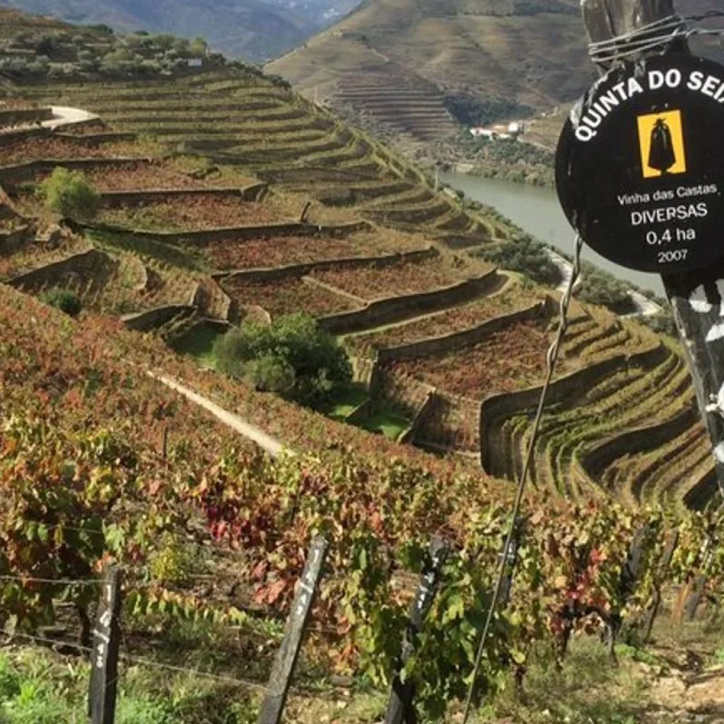 Explore Best of Portugal Singles Vacation for 10 days with Best Single Travel and discover unforgettable experiences - Photo 2