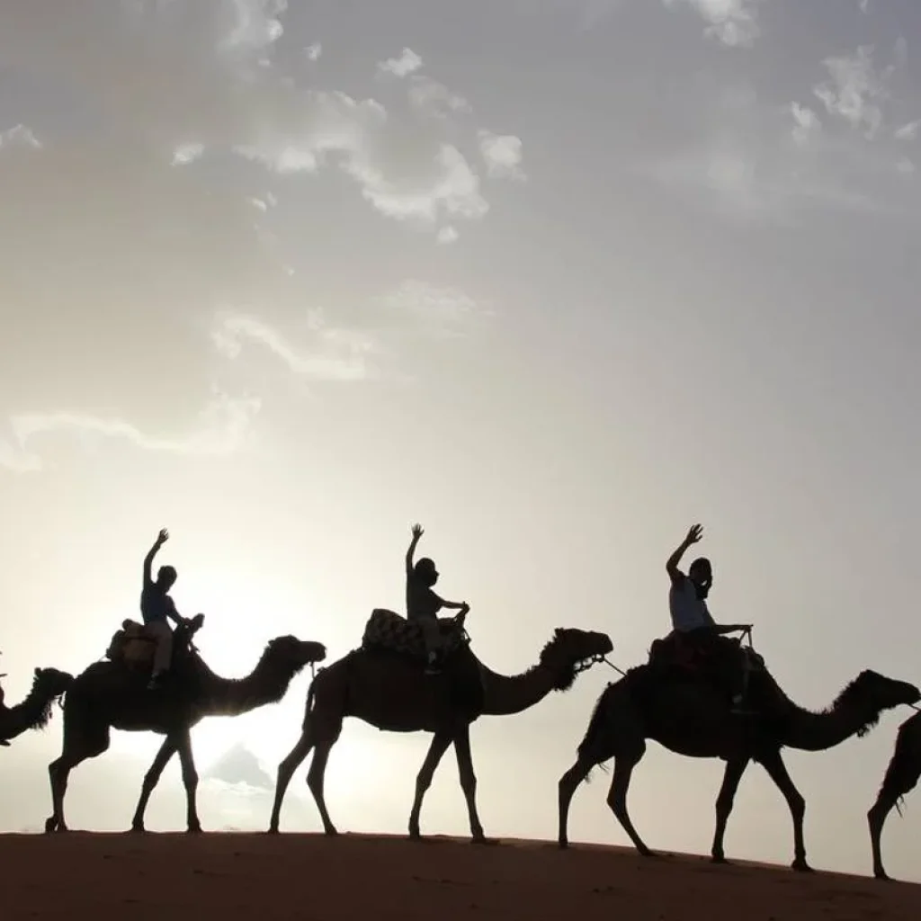 Explore Marrakech to Fes 3-Day Sahara Desert Tour with Camel Trek for 3 days with Desertbrise Travel and discover unforgettable experiences - Photo 2