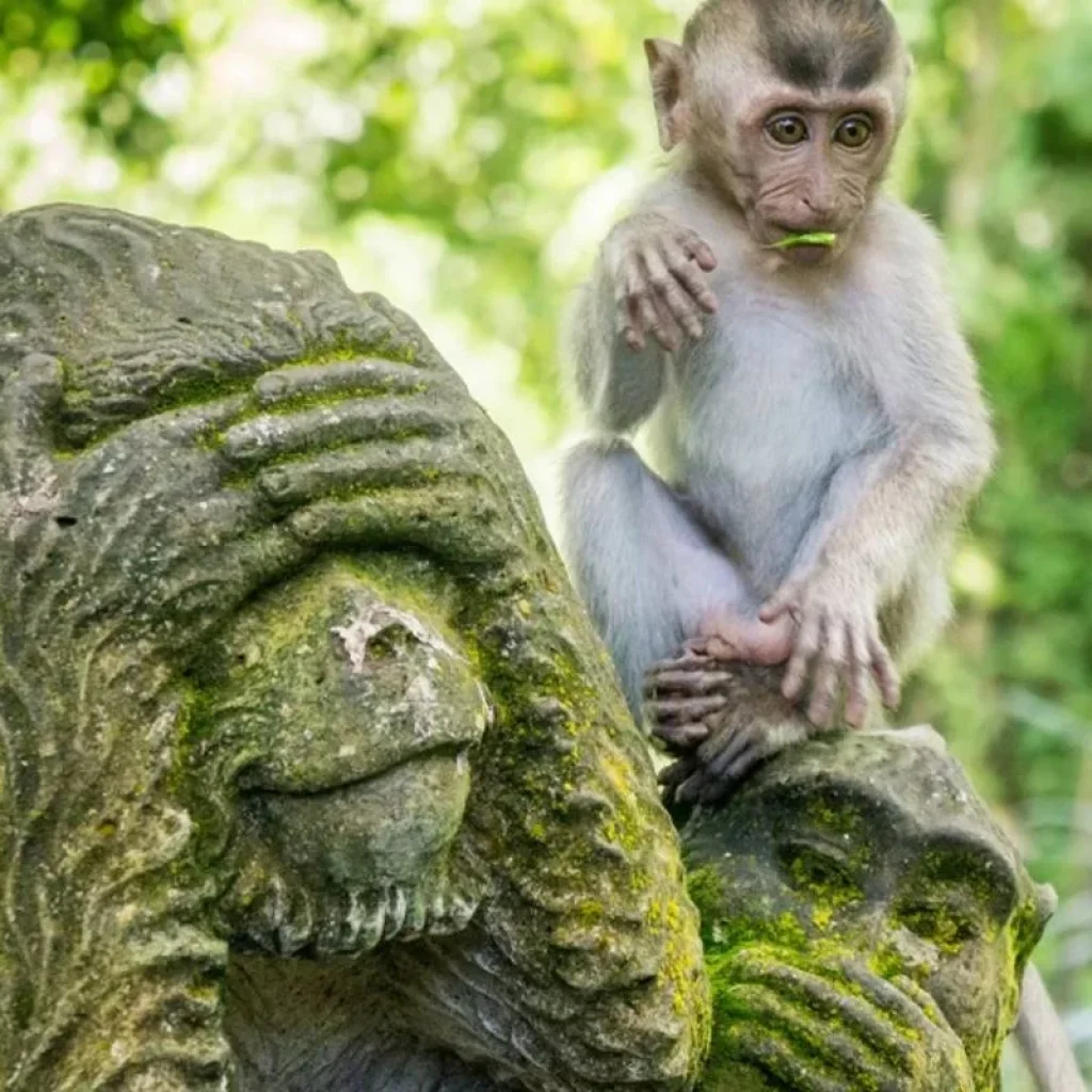 Explore Timeless Bali Escape in 5 Days - Private Tour for 5 days with Realistic Asia and discover unforgettable experiences - Photo 2