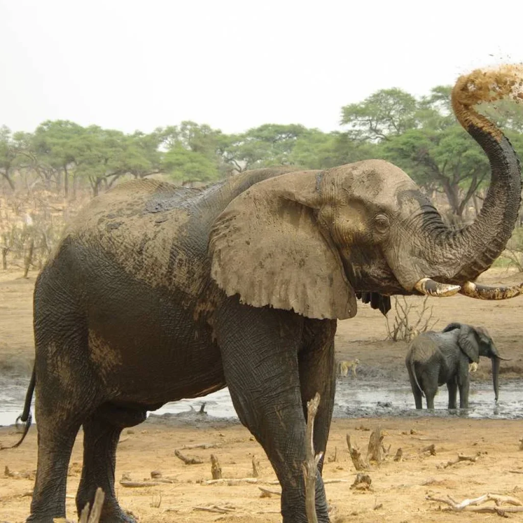 Explore Kafue National Park from South to North for 11 days with Adventure Purists Ltd. and discover unforgettable experiences - Photo 2