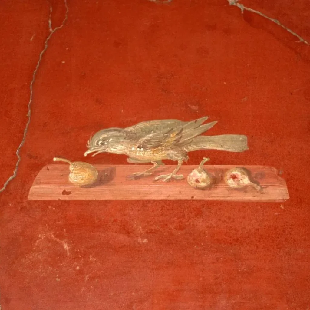 Explore Pompeii, Herculaneum & Paestum Tour for 8 days with Campania Overland and discover unforgettable experiences - Photo 2