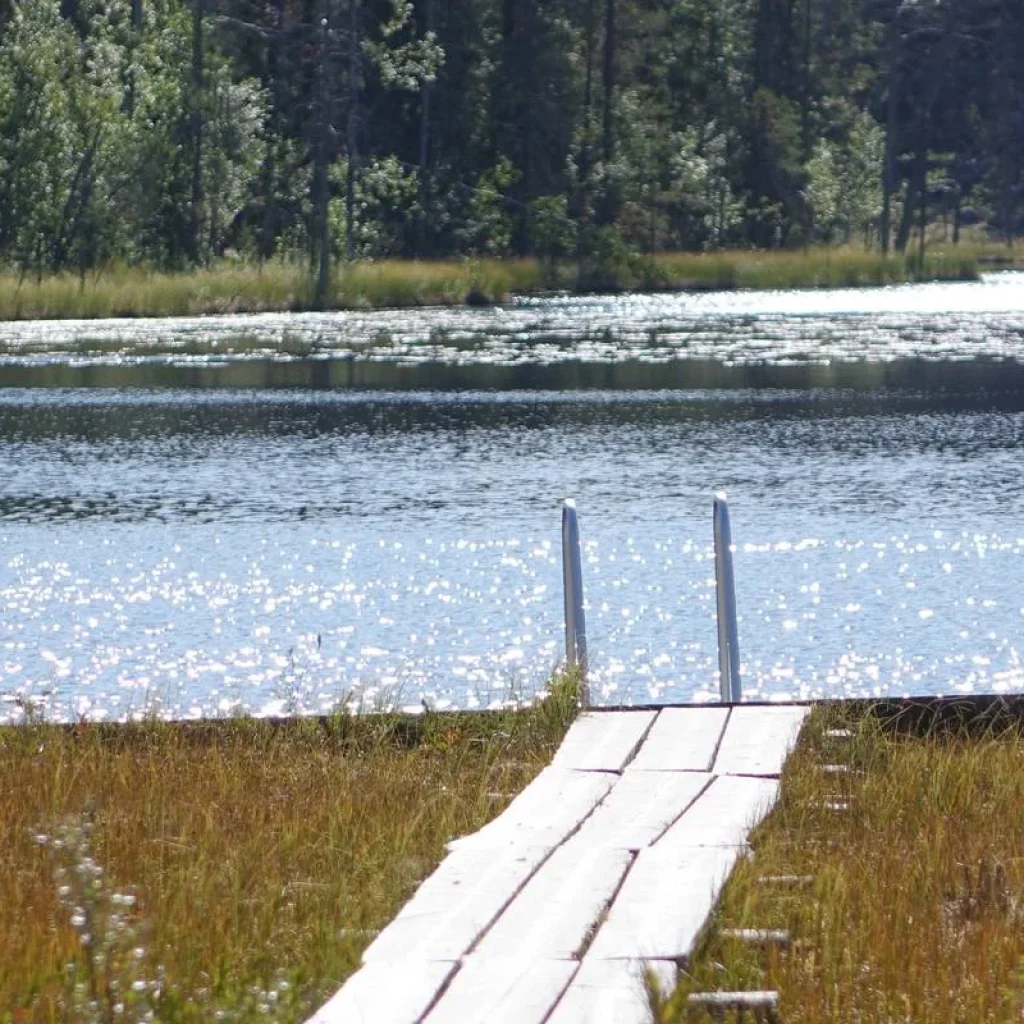 Explore Self-drive Tour To The Pure Nature In North Karelia for 5 days with Aksyt Ammat Ltd and discover unforgettable experiences - Photo 2