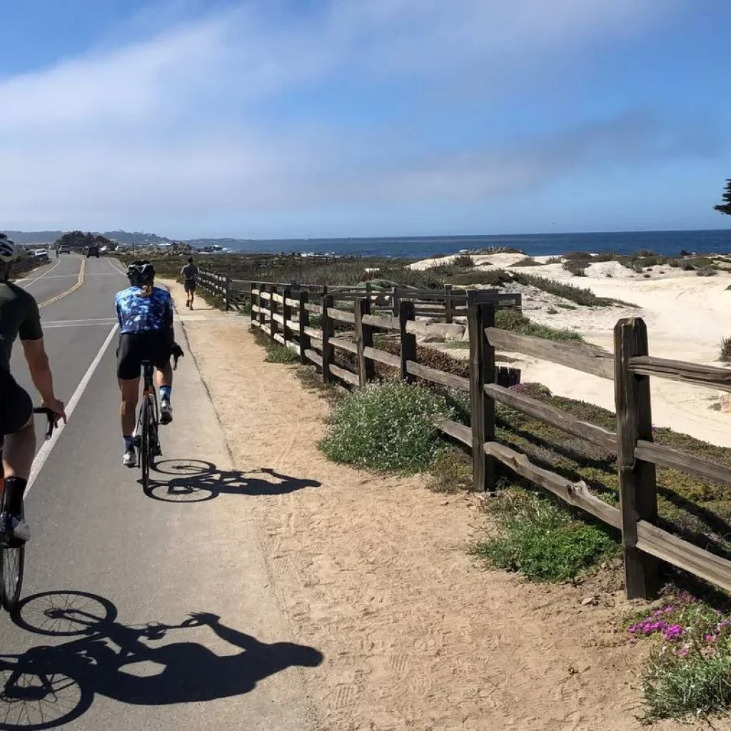 Explore Big Sur Coast Bike Tour for 7 days with Bicycle Adventures and discover unforgettable experiences - Photo 2