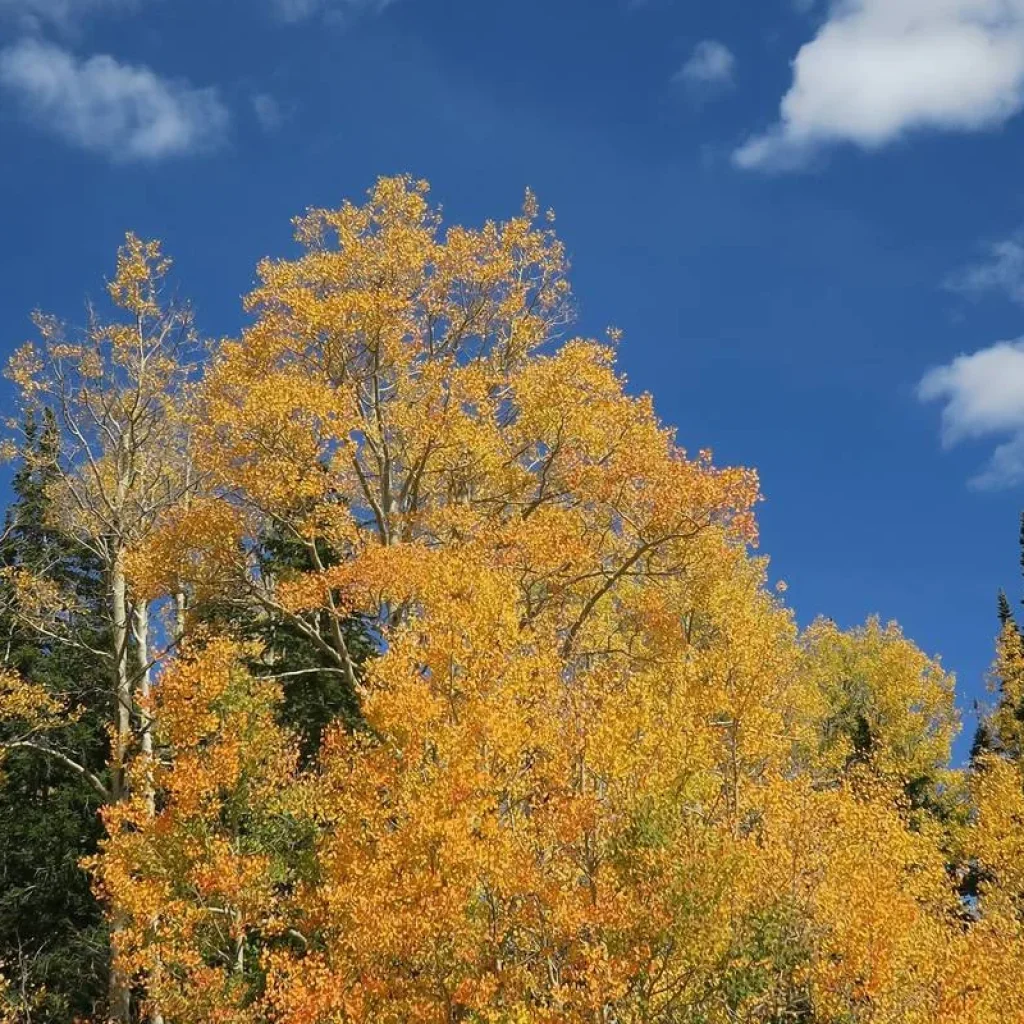 Explore Bryce and Zion National Parks Multisport Tour for 6 days with Bicycle Adventures and discover unforgettable experiences - Photo 2