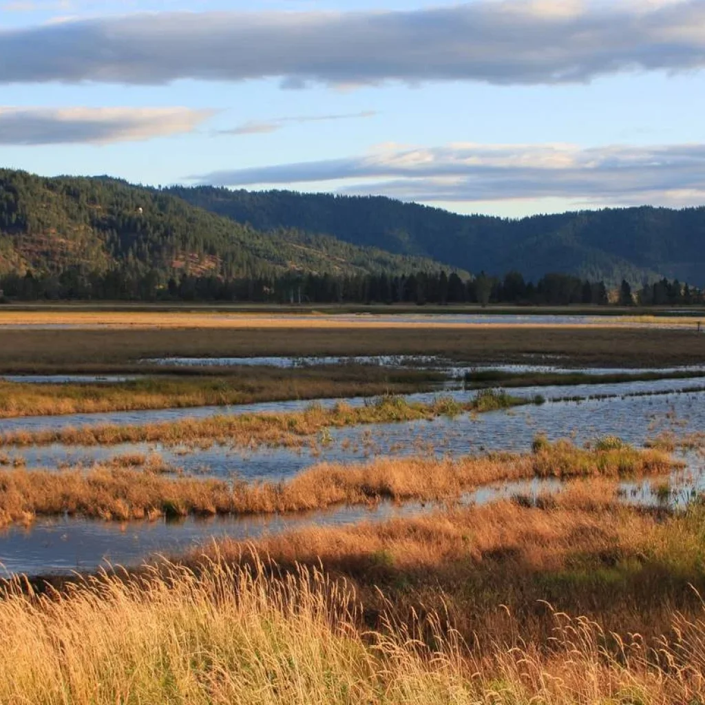 Explore Trail of the Coeur d'Alenes Bike Tour for 6 days with Bicycle Adventures and discover unforgettable experiences - Photo 2