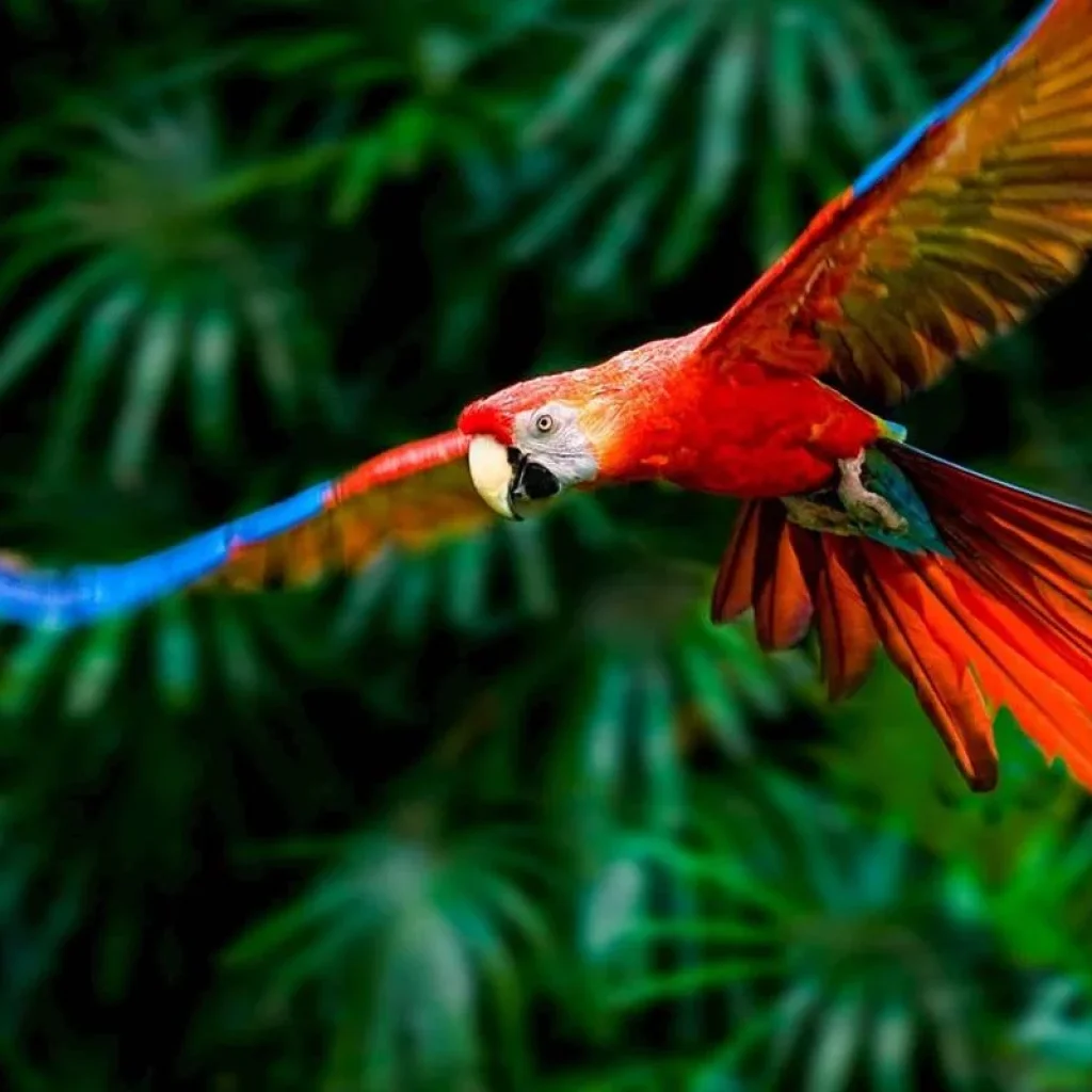 Explore Costa Rica Adventure (Tortuguero Extension) for 10 days with Costsaver and discover unforgettable experiences - Photo 2