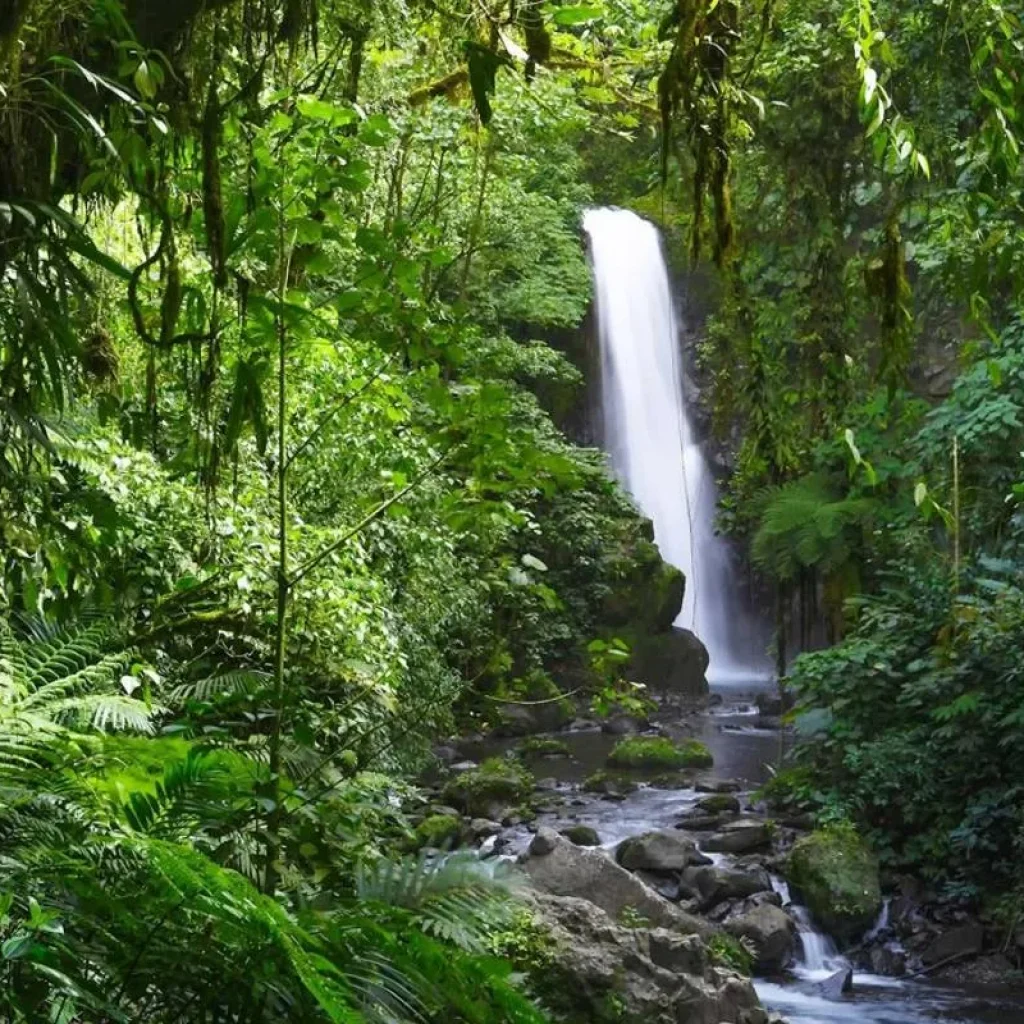 Explore Costa Rica Adventure for 7 days with Costsaver and discover unforgettable experiences - Photo 2