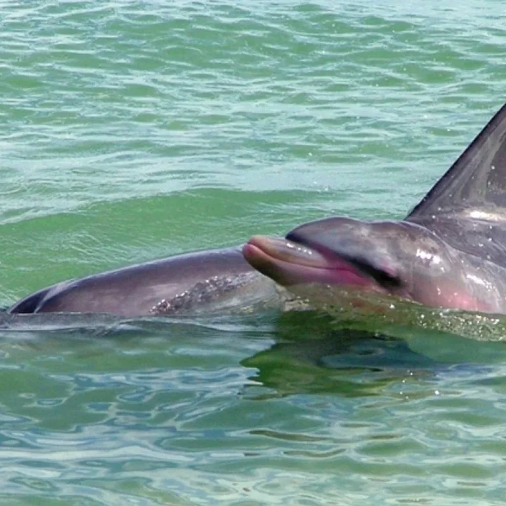 Explore West Coast on your own (Perth - Broome, 11 nights) for 12 days with DERTOUR and discover unforgettable experiences - Photo 2