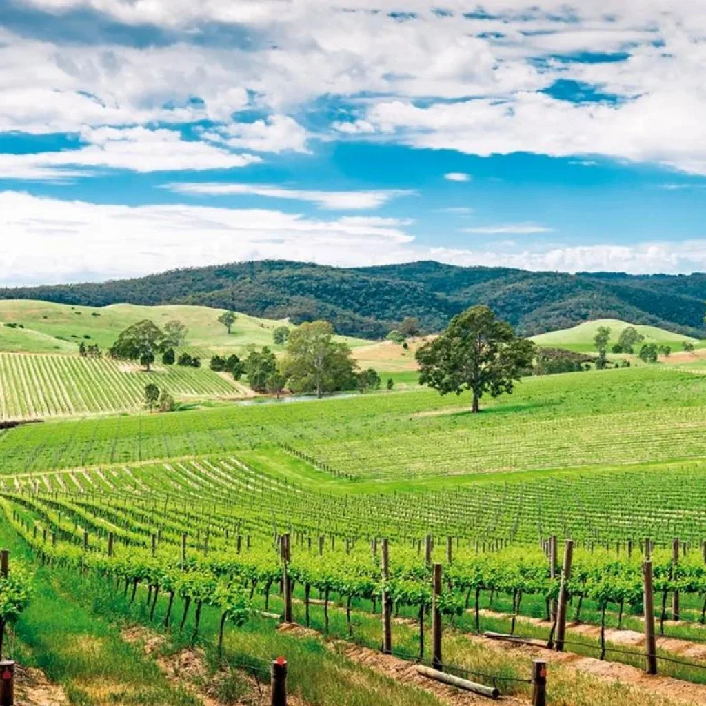 Explore Explorers Way for 22 days with DERTOUR and discover unforgettable experiences - Photo 2