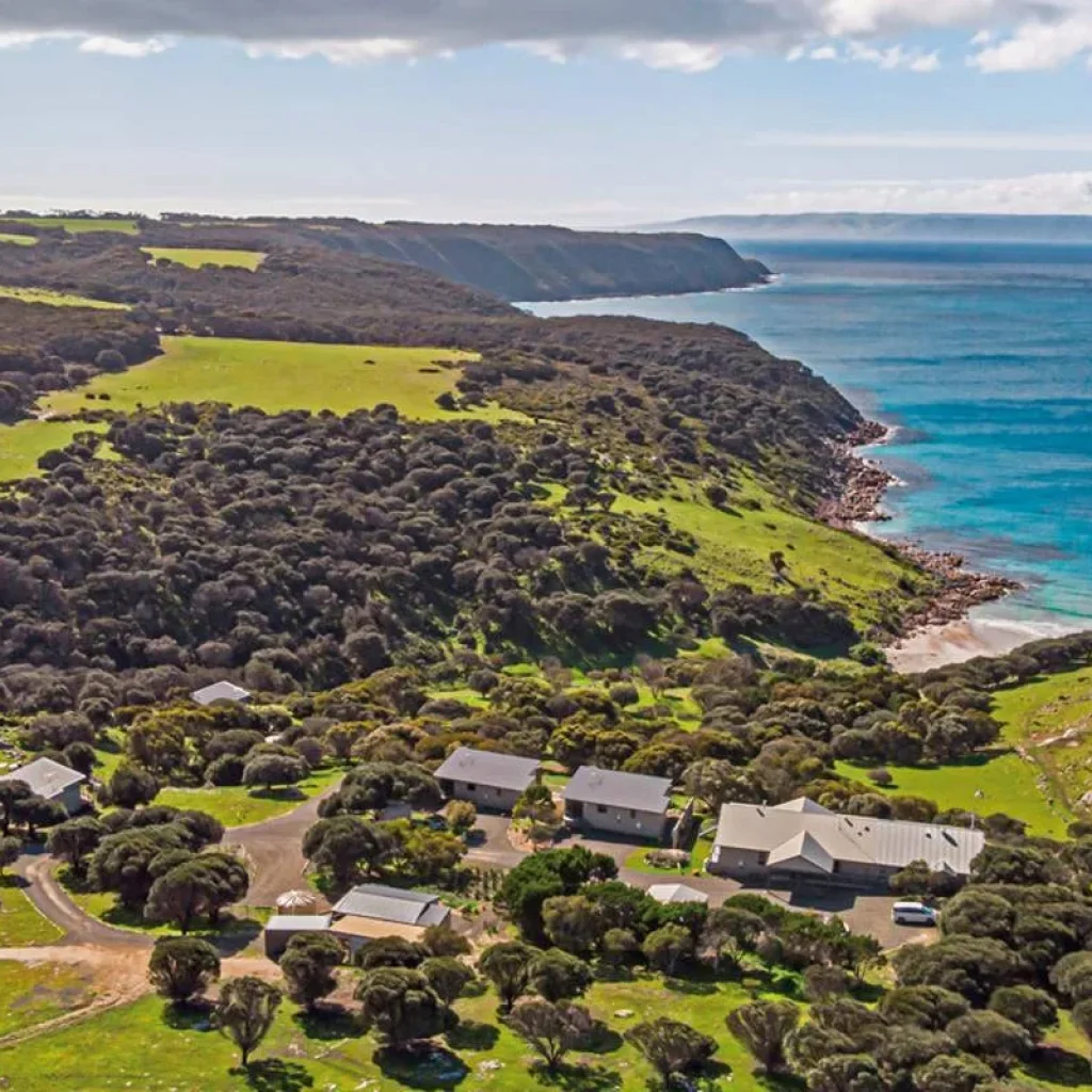 Explore Sea Dragon Kangaroo Island 4 Days for 4 days with DERTOUR and discover unforgettable experiences - Photo 2