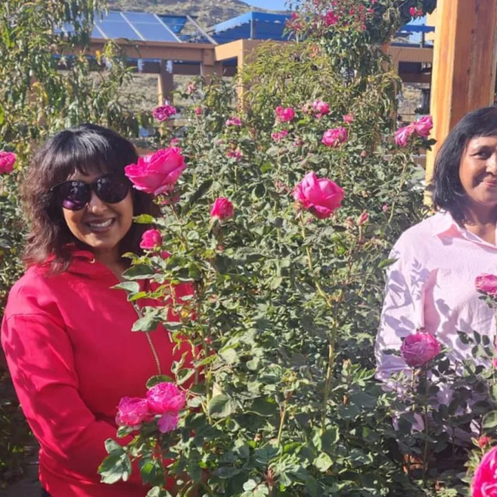 Explore RIYADH & MUSCAT VALUE FIT TOUR for 5 days with DMC Arabia Tourism and discover unforgettable experiences - Photo 2