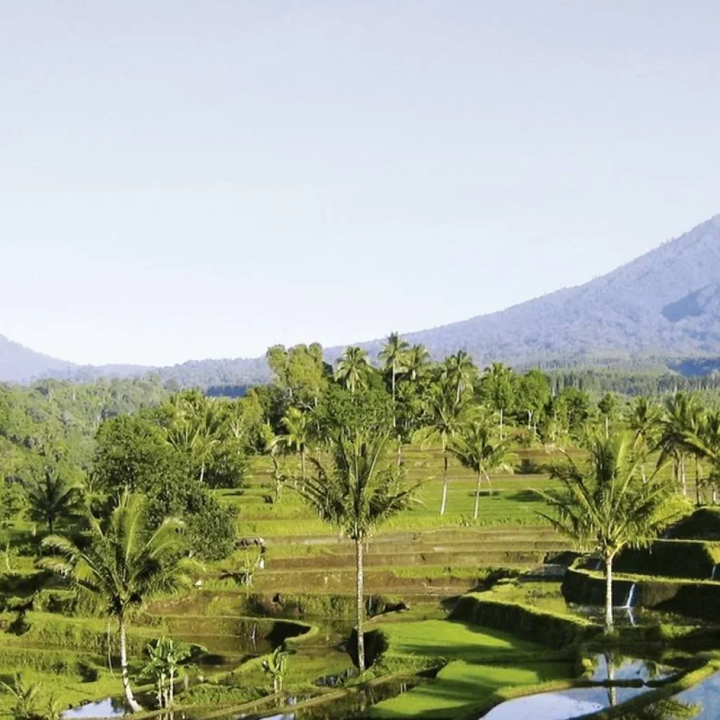 Explore Fascination Bali & unique East Java (private tour) for 9 days with MEIERS WELTREISEN and discover unforgettable experiences - Photo 2