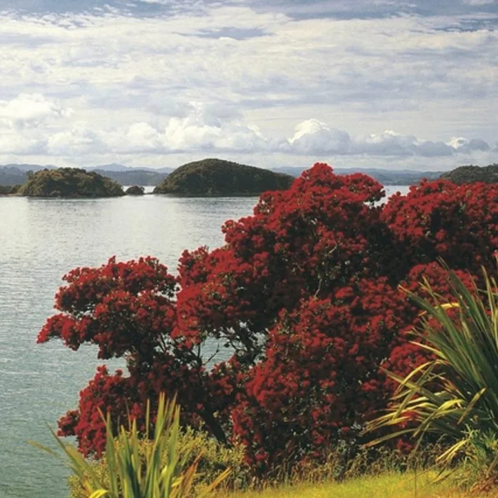 Explore Classic New Zealand Round Trip for 23 days with DERTOUR and discover unforgettable experiences - Photo 2