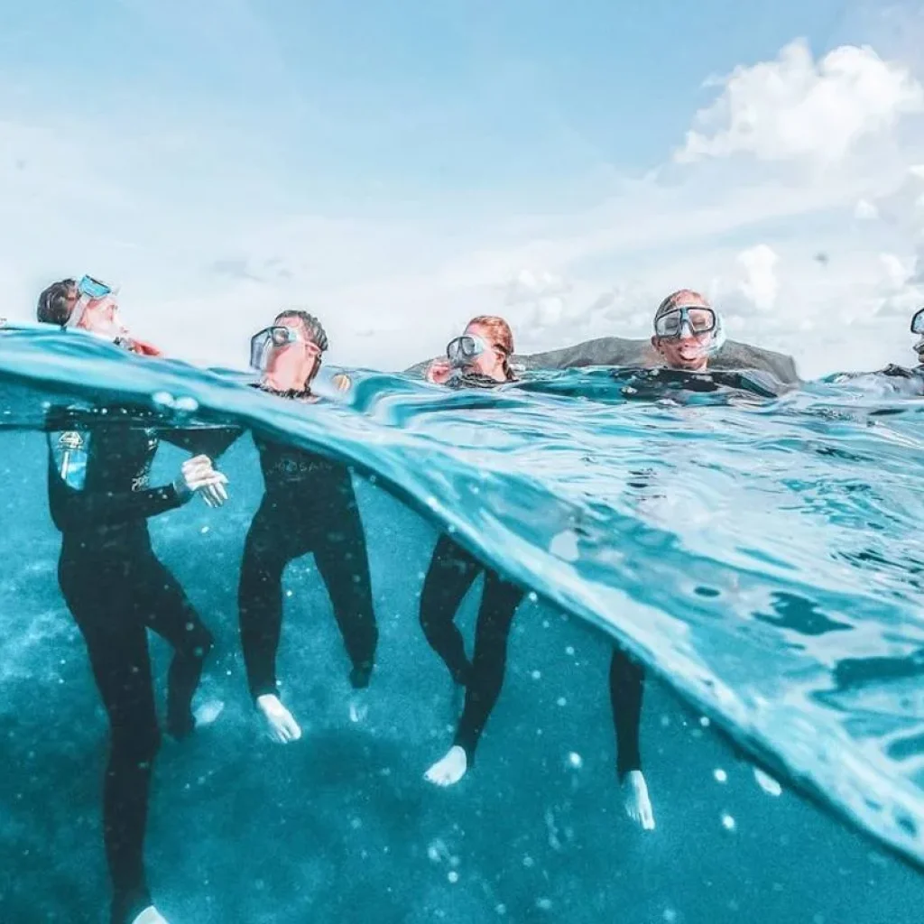 Explore Great Barrier Reef Explorer (Snorkel To Adventure) for 3 days with Contiki and discover unforgettable experiences - Photo 2