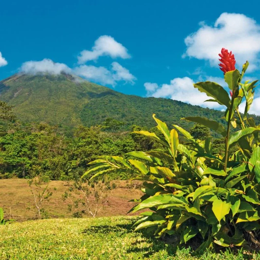 Explore Green paradise (10 nights) for 11 days with DERTOUR and discover unforgettable experiences - Photo 2