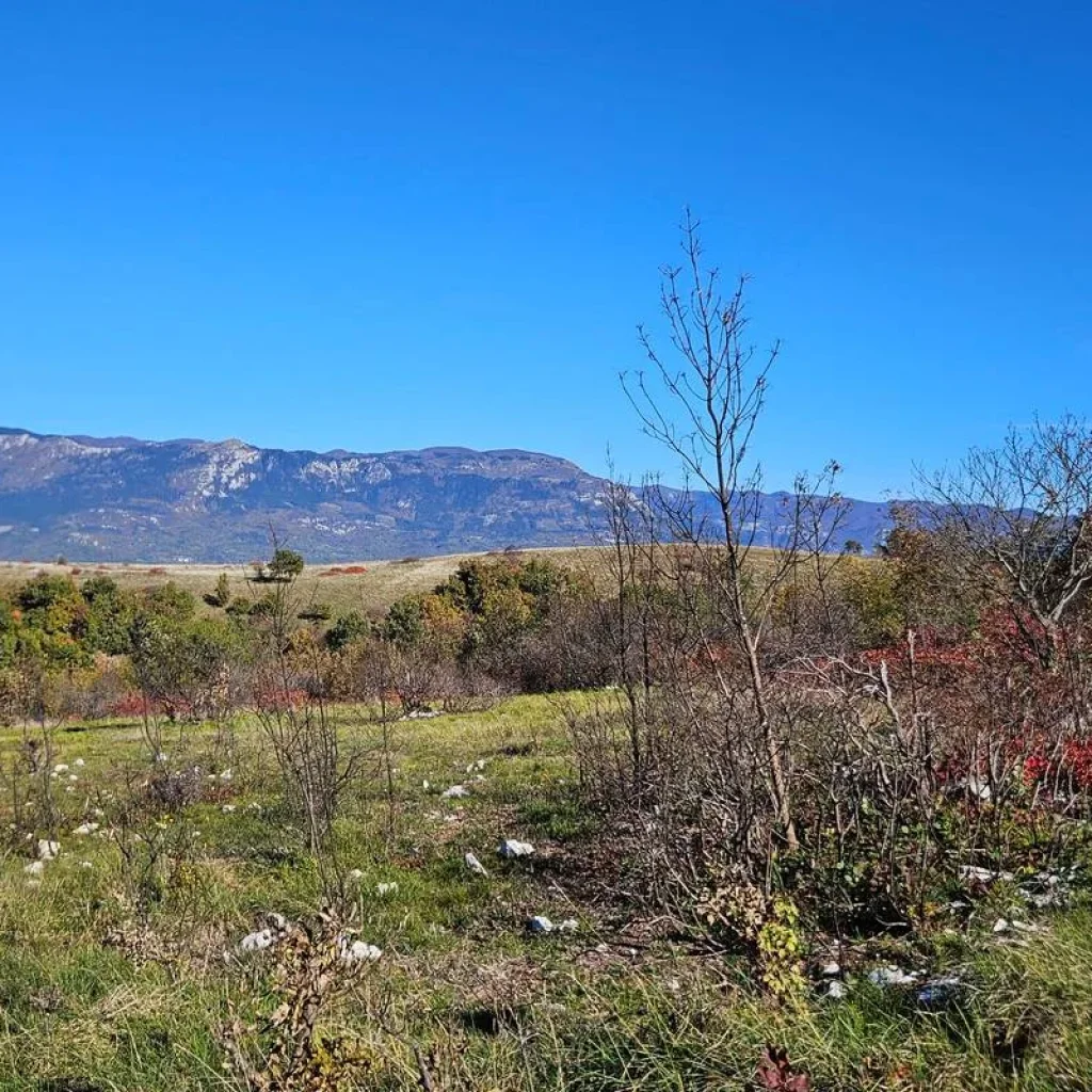 Explore  for 8 days with Helia Travel Agency and discover unforgettable experiences - Photo 2