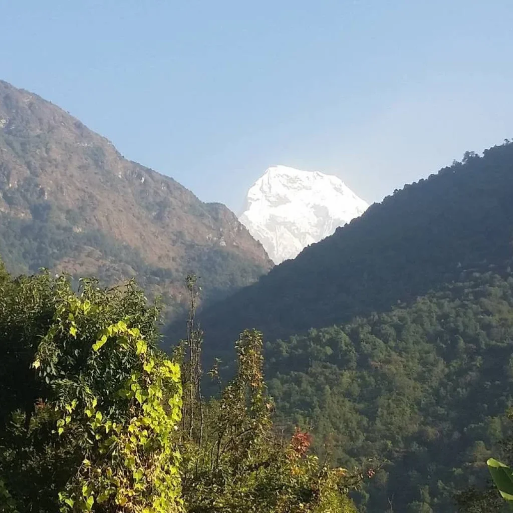 Explore Mardi Himal Trek for 10 days with Himalaya Heart Treks & Expedition[P] Ltd  and discover unforgettable experiences - Photo 2