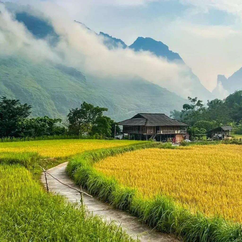 Explore The Karst Geopark - 4 days 3 night Private Tour for 4 days with Custom Vietnam Travel and discover unforgettable experiences - Photo 2