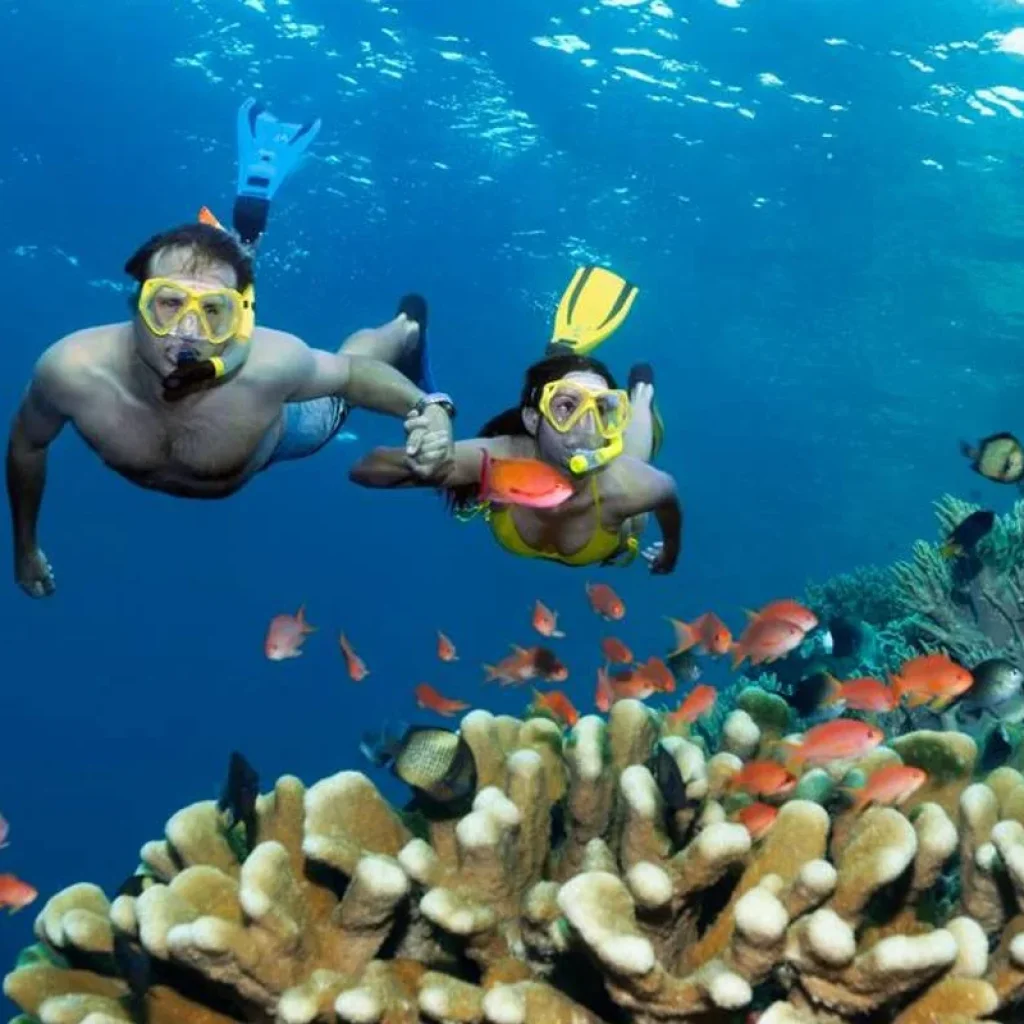 Explore Brisbane to Cairns Adventure for 8 days with Intrepid Travel and discover unforgettable experiences - Photo 2