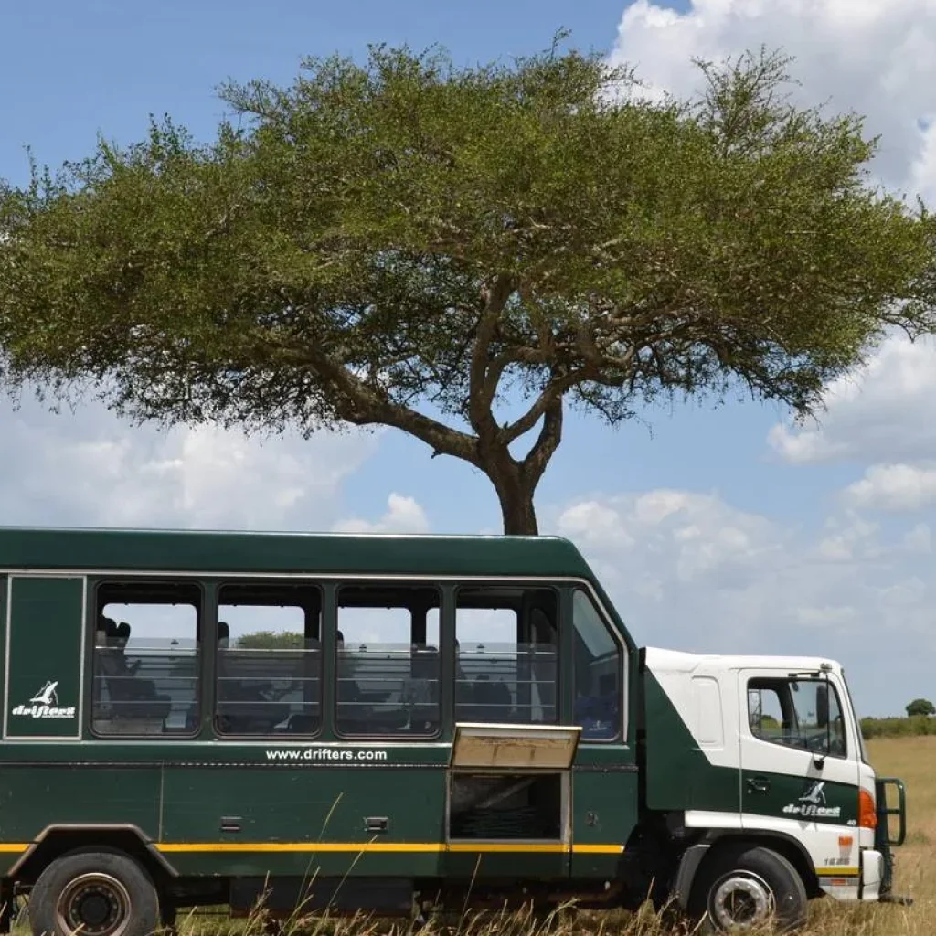 Explore 12 Day Kenya & Tanzania Pioneer (Camping) for 12 days with Drifters Adventure Tours and discover unforgettable experiences - Photo 2