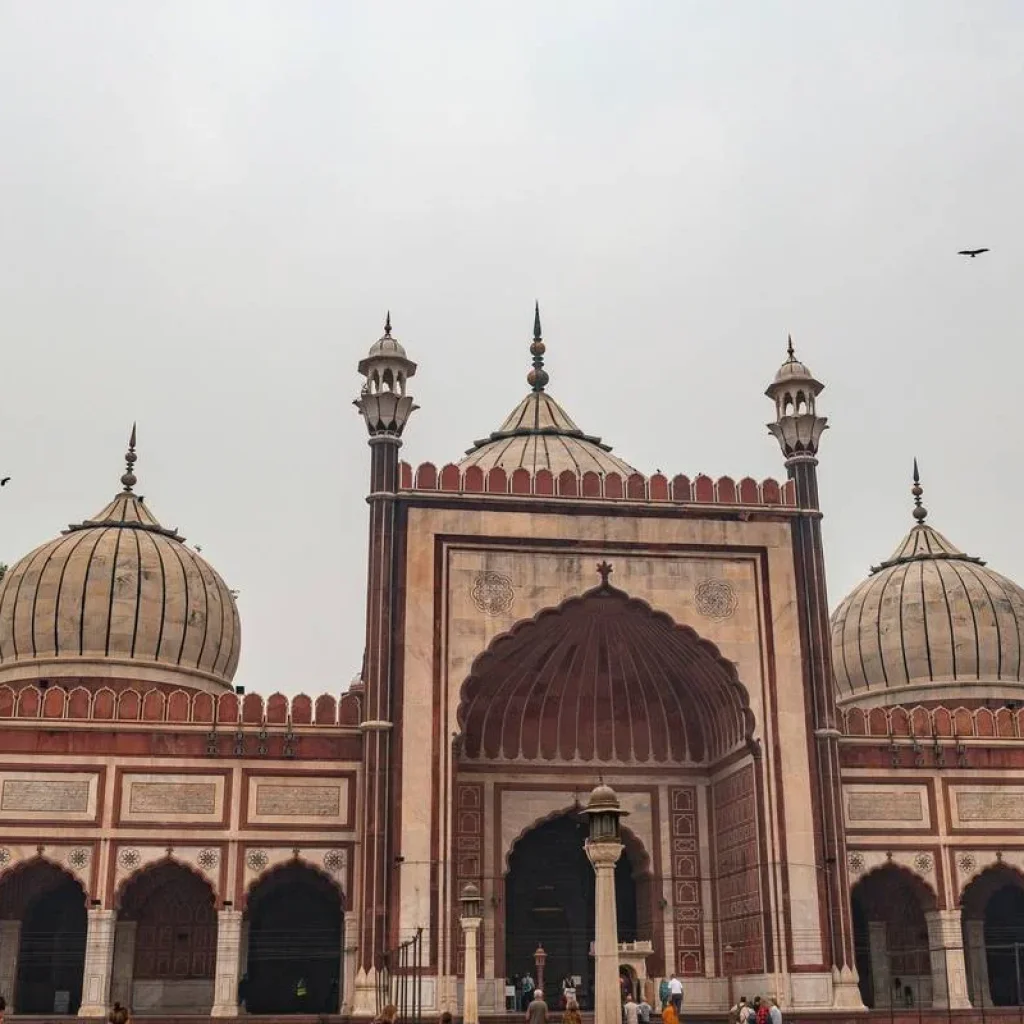 Explore 11D Splendid India Golden Triangle Tour: Delhi, Agra, Jaipur, Jodhpur, Udaipur, with a Thrilling Tiger Safari for 11 days with Coxan Tours and discover unforgettable experiences - Photo 3
