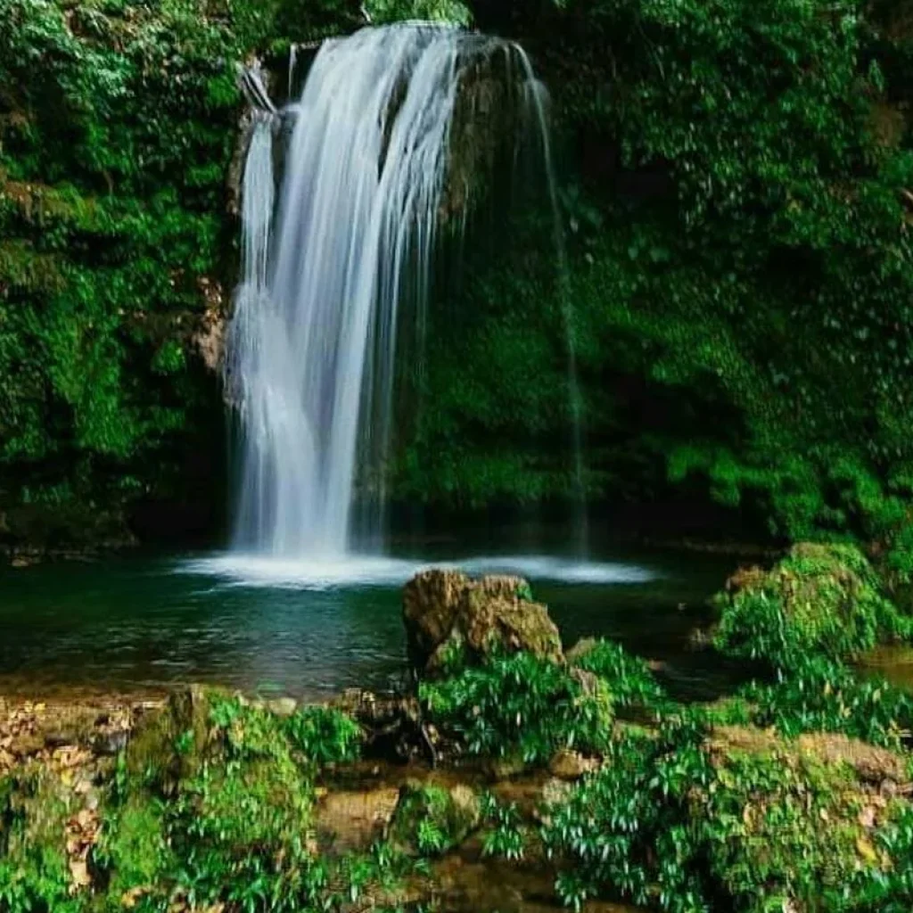 Explore Roar and Reverie: Corbett Tiger Reserve Escapade from Delhi for 3 days with Agora Voyages OPC Pvt Ltd and discover unforgettable experiences - Photo 2