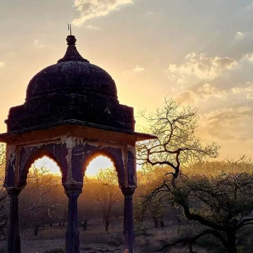 Explore North India Desert Expedition for 11 days with BeMetravels and discover unforgettable experiences - Photo 2