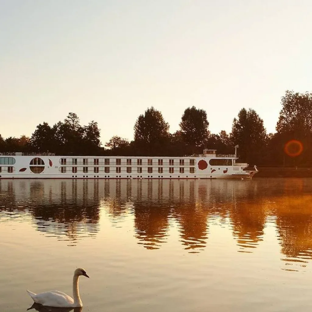Explore Southern Rhine Nature Experience 2026 for 8 days with A-ROSA and discover unforgettable experiences - Photo 2