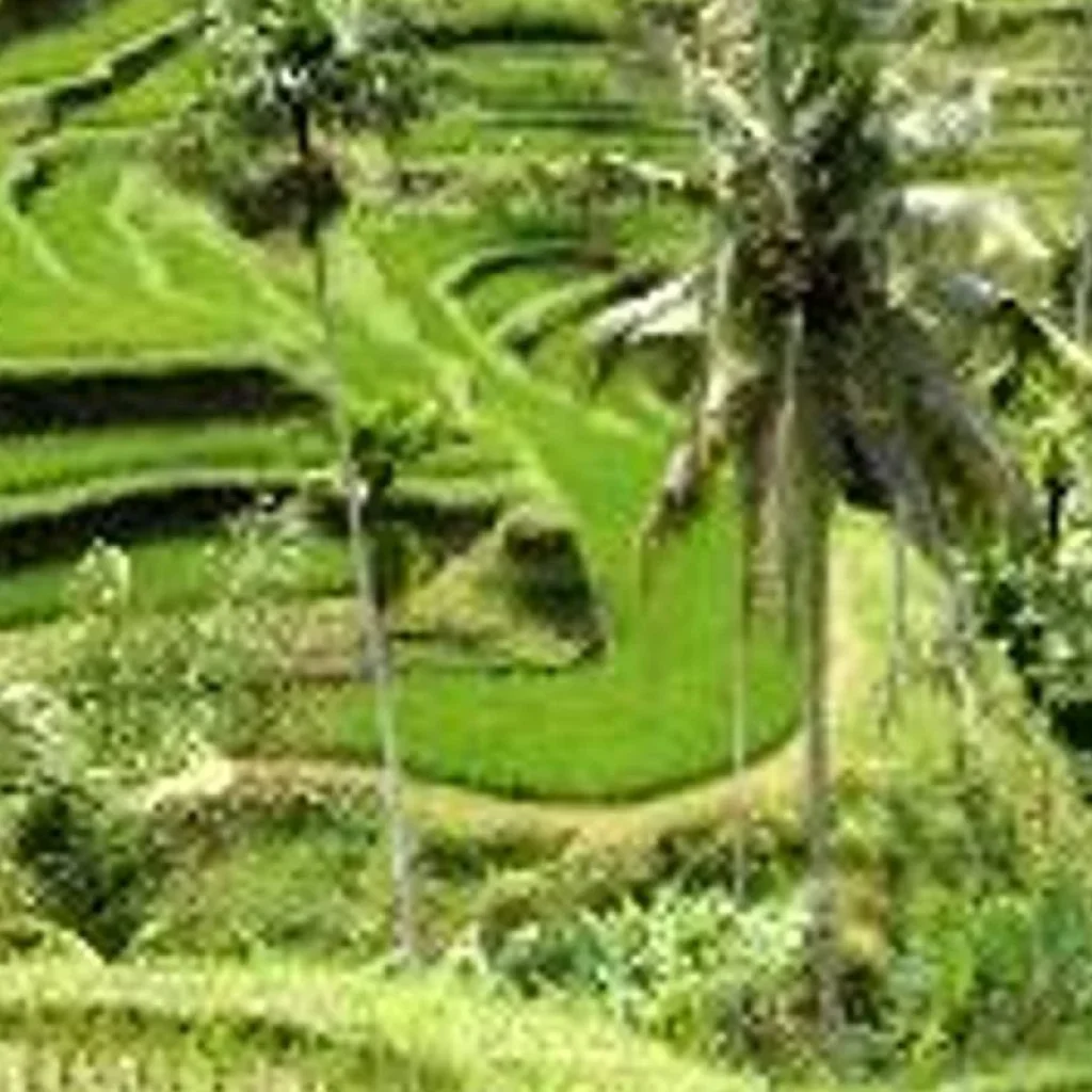 Explore Bali - Island of Inspiration for 9 days with Discover Corps and discover unforgettable experiences - Photo 2