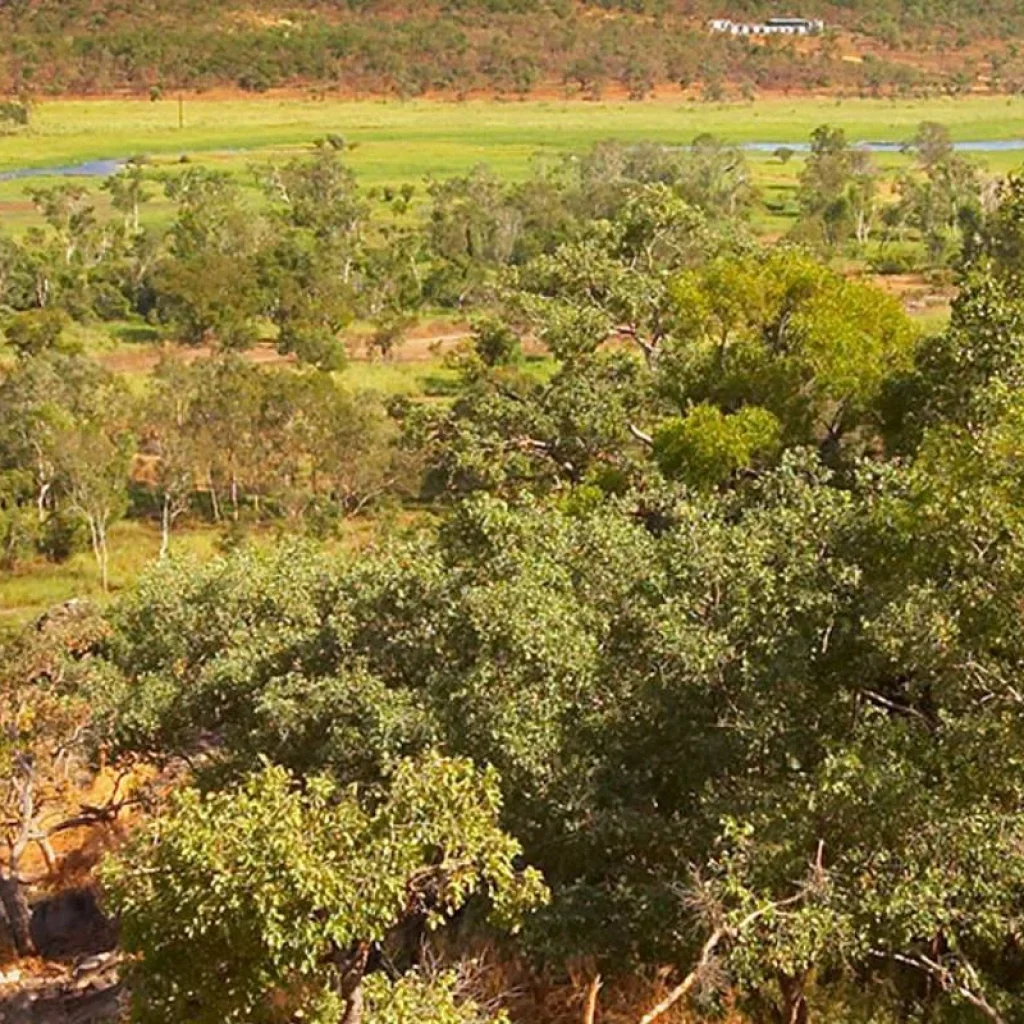 Explore Kakadu and Arnhemland (Short Break) for 2 days with AAT Kings and discover unforgettable experiences - Photo 2