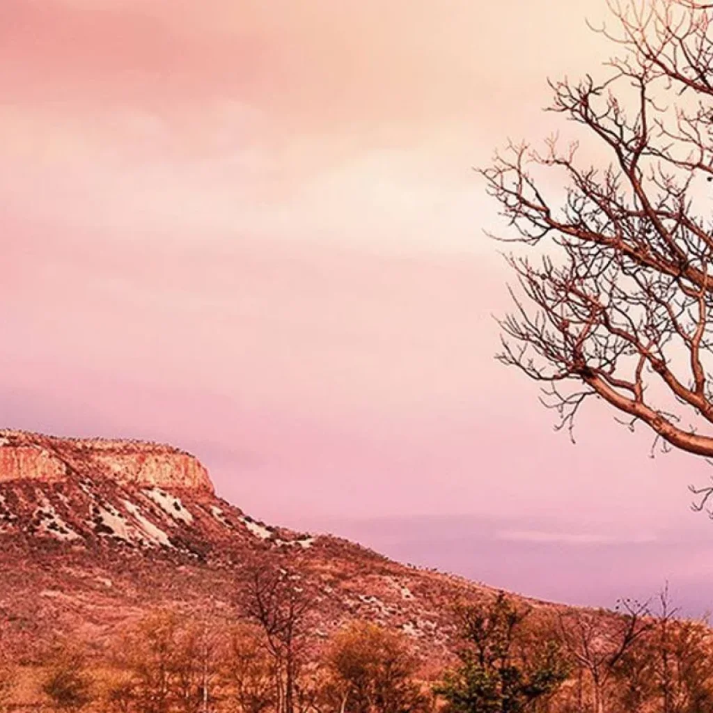 Explore Wonders of the West Coast and Kimberley (21 Days) for 21 days with AAT Kings and discover unforgettable experiences - Photo 2