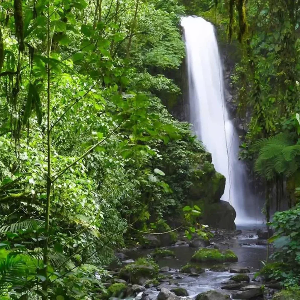 Explore Costa Rica Adventure for 7 days with Costsaver and discover unforgettable experiences - Photo 2