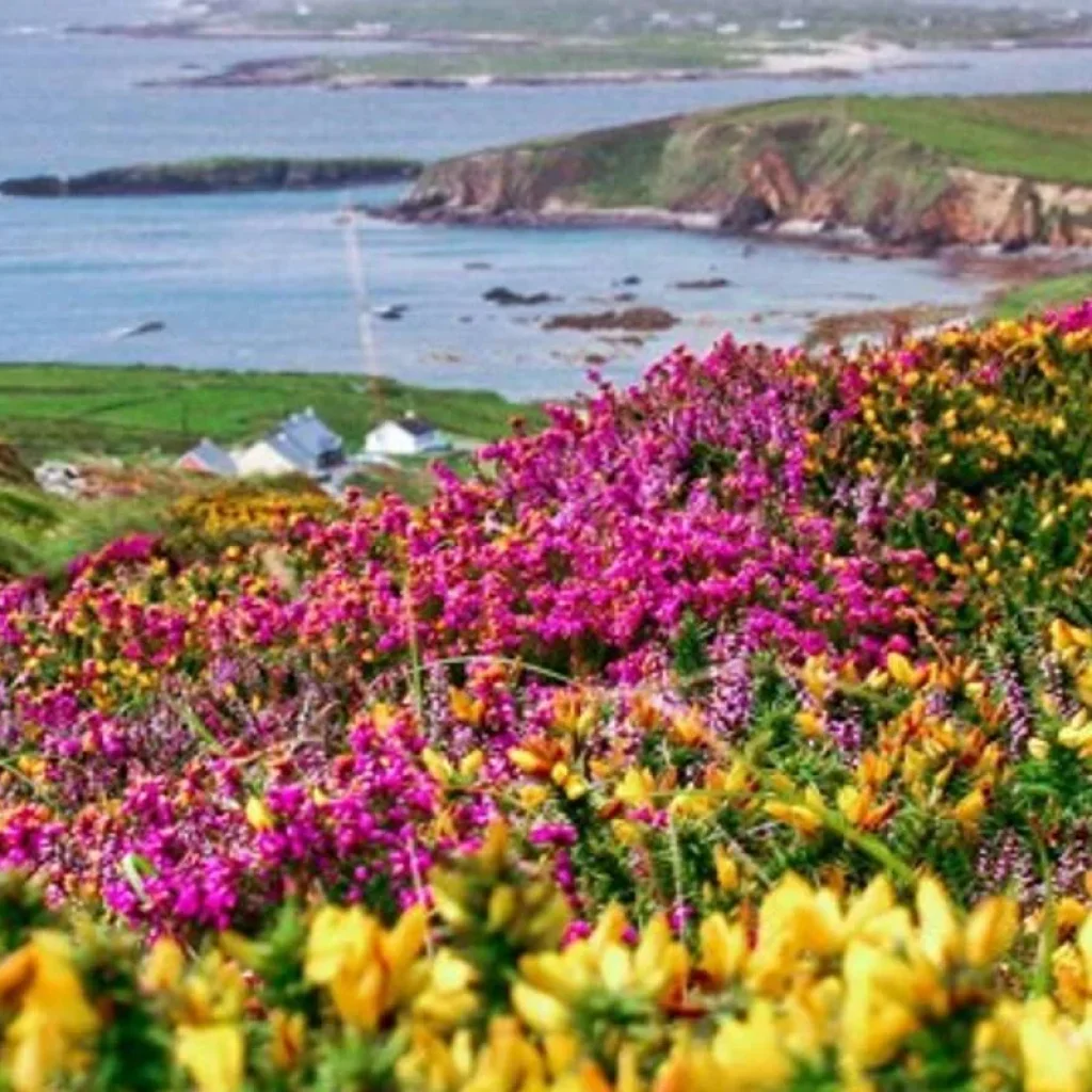 Explore Amazing Ireland - Signature for 14 days with Brendan Vacations and discover unforgettable experiences - Photo 2