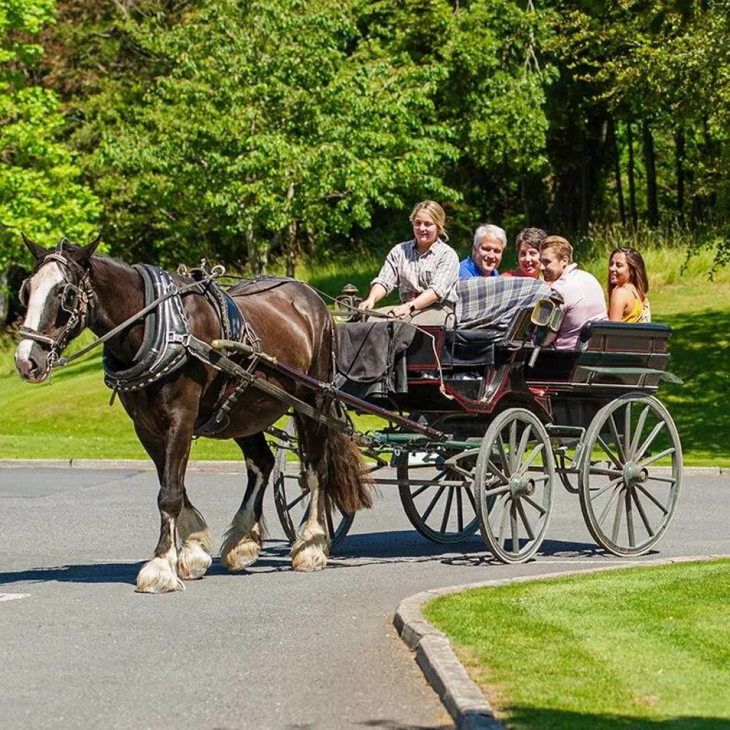 Explore Best of Ireland South (Tour A) - 8 Days/7 Nights for 8 days with CIE Tours and discover unforgettable experiences - Photo 2