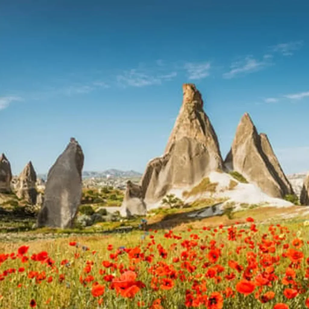 Explore Istanbul & Cappadocia (5 Star) - 5 days for 5 days with On The Go Tours and discover unforgettable experiences - Photo 2