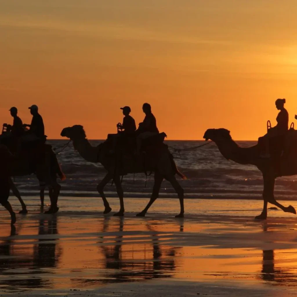 Explore Perth to Broome Tour With Kalbarri, Ningaloo Reef, Exmouth & Karijini for 10 days with Adventure Tours Australia and discover unforgettable experiences - Photo 2