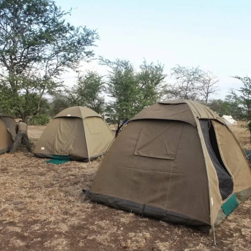 Explore 5 Days Tanzania Private Camping Safari for 5 days with Exodus African Safari and discover unforgettable experiences - Photo 2
