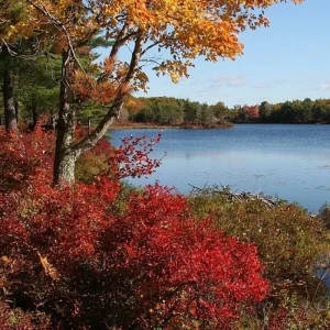 Explore Classic Fall Foliage for 9 days with Globus and discover unforgettable experiences - Photo 7