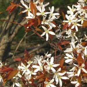 Explore Classic Fall Foliage for 9 days with Globus and discover unforgettable experiences - Photo 8