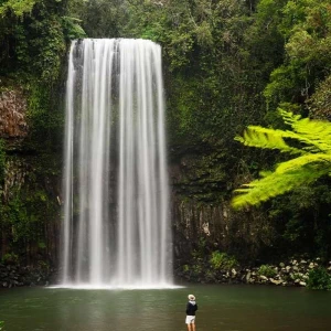 Explore Brisbane to Cairns Adventure for 8 days with Intrepid Travel and discover unforgettable experiences - Photo 7