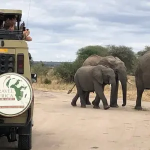 Explore 3 Days Group Camping Safari Tour Tanzania for 3 days with  Travel Africa Safari Agency and discover unforgettable experiences - Photo 2